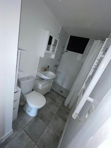 une salle de bain blanche avec des toilettes et un lavabo dans l'établissement Au petit Olivier, Appartement avec jardin et piscine, à Grans