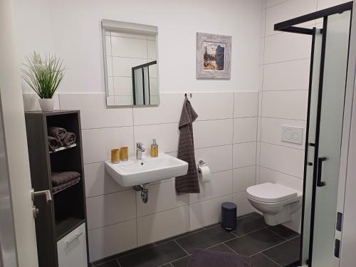 a bathroom with a sink and a toilet at Ferienapartment Zur Bunten Kuh Walporzheim in Bad Neuenahr-Ahrweiler