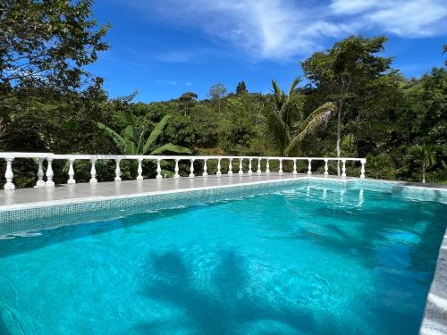 a swimming pool with blue water and trees in the background at Finca Mango - 40 acre paradise in Roble