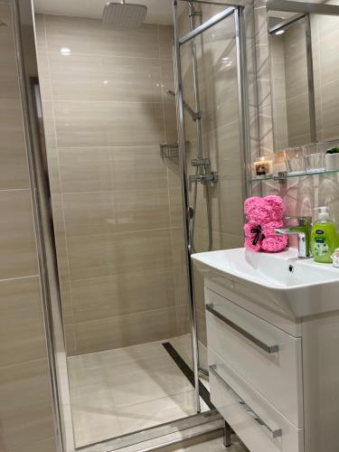 a bathroom with a shower and a white sink at Penzion na Lůkách in Horní Bečva