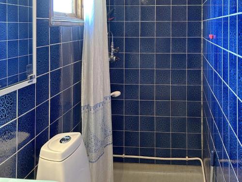 y baño de azulejos azules con aseo y ducha. en Holiday home MALMKÖPING II, en Malmköping
