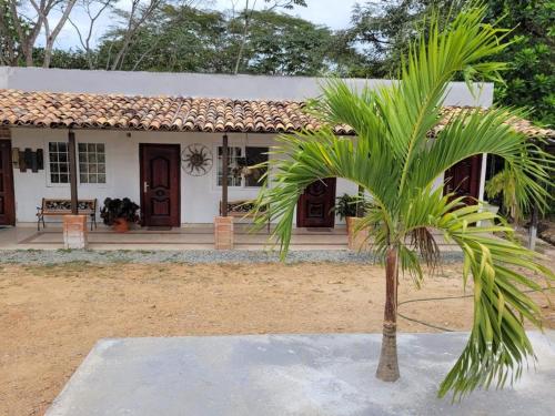 a palm tree in front of a house at Casa Pueblo Ocú in El Hatillo