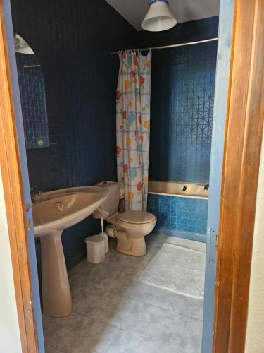 a bathroom with a toilet and a sink at Appartement La Meije in La Grave