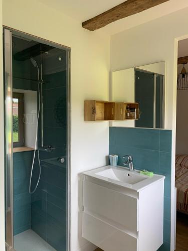 une salle de bain avec un lavabo et une douche dans l'établissement Jolie maison de campagne au cœur du Brionnais, à Saint-Laurent-en-Brionnais