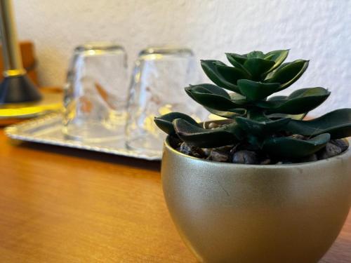 une plante en pot assise sur une table en bois avec des verres dans l'établissement Hotel zur Eiche, à Meerane