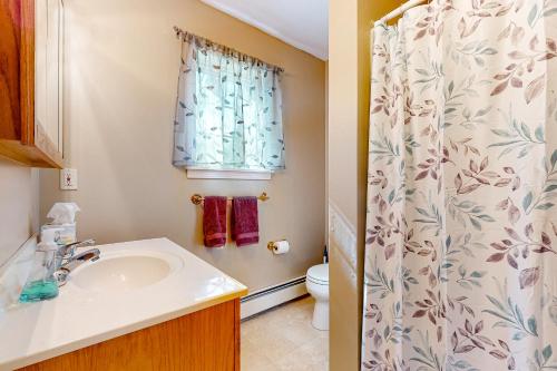 a bathroom with a sink and a toilet at Moon Rise House on the Finger Lakes in Auburn
