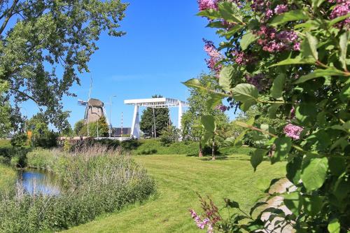 a park with a pond and a windmill in the background at Boutique Hotel Hans in Badhoevedorp