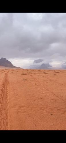 um deserto com marcas de pneus na areia em وادي رم em Aqaba