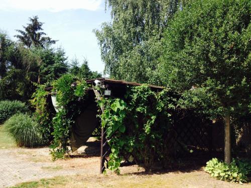 a pergola covered in ivy in a garden at Vila EVIO Třeboň in Třeboň