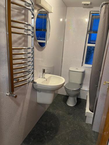ein Bad mit einem WC und einem Waschbecken in der Unterkunft Meadow View Lodge in Begelly