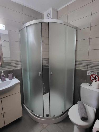 La salle de bains est pourvue d'une douche, de toilettes et d'un lavabo. dans l'établissement Studio Dimitri Limenaria, à Limenaria