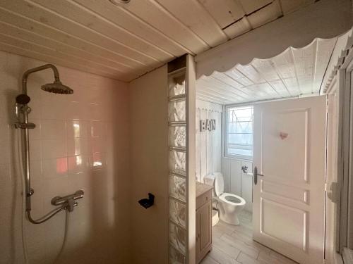 une salle de bain avec douche et toilettes dans l'établissement Gite - maison de charme, à Saint-Vivien-de-Médoc