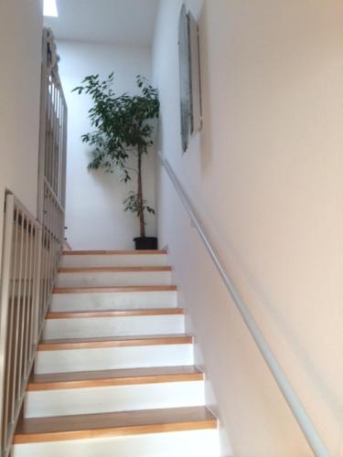 a staircase with a potted plant in a building at D&E Apartments in Vienna