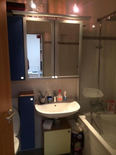 een badkamer met een wastafel, een douche en een toilet bij D&E Apartments in Wenen