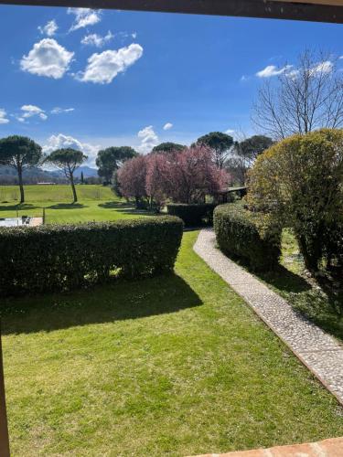 a garden with bushes and trees in the background at Casa Vacanze Nonna Vittoria in Spoleto