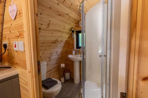 a bathroom with a shower and a toilet and a sink at Mount Hillary Holiday Pods in Cork