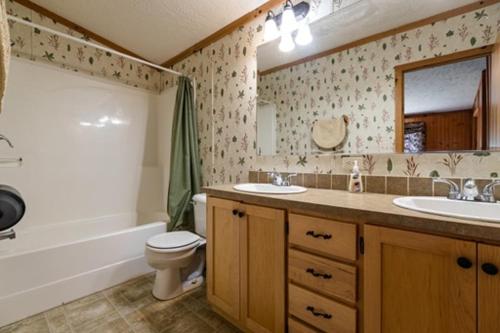 ein Badezimmer mit einem Waschbecken, einem WC und einer Badewanne in der Unterkunft 3br Riviera Cabin Sleeps 6, Fully Furnished! in Neillsville