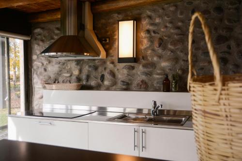 a kitchen with a sink and a counter at Cottage de los Andes in Mendoza
