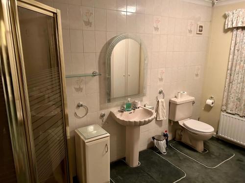 La salle de bains est pourvue d'un lavabo, de toilettes et d'un miroir. dans l'établissement Curlews, à Feock