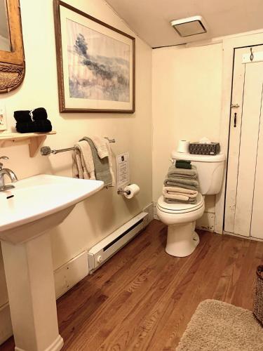 a bathroom with a sink and a toilet at Heartstone Country Retreat in Buena Vista