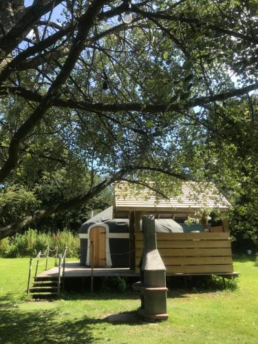 a rv parked in a park under a tree at The Grove Glamping in Cromer