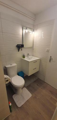 uma casa de banho com um WC, um lavatório e um espelho. em Appartement centre de Annemasse em Annemasse