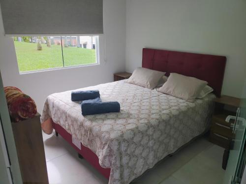 1 dormitorio con 1 cama con 2 almohadas en Casa Completa da Magui - 02, en Pomerode