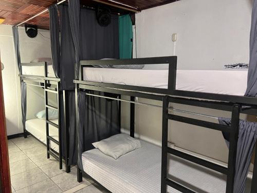a group of bunk beds in a room at Rio Danta in Fortuna