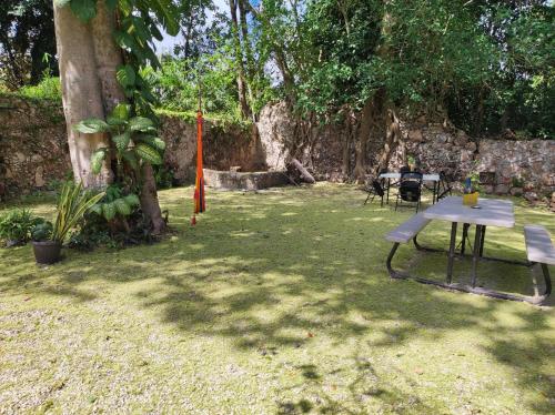 a picnic table in a yard under a tree at Hostal Xiinbal Valladolid in Valladolid