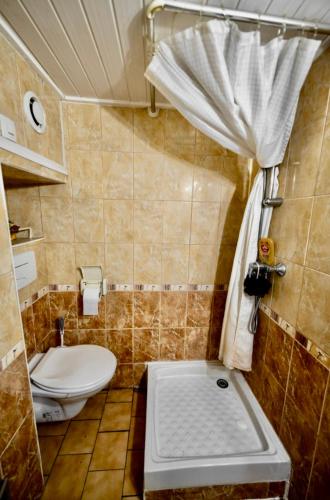 une petite salle de bain avec toilettes et lavabo dans l'établissement Sublime Studio - Centré & Tout Equipé, à Grenoble