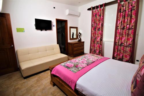 a bedroom with a bed and a couch and a television at Amazilia Hotel in Pereira