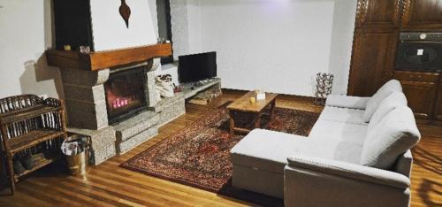 un salon avec un canapé et une cheminée dans l'établissement Gîte La Pommerie, à Ferrières-sur-Sichon