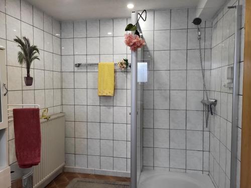 a bathroom with a shower with a glass door at Cozy Charming Theresa in Schmelz