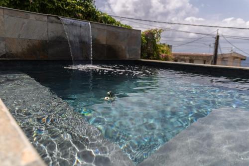 um cão a nadar numa piscina com uma fonte em Villa T4 avec piscine, 6 à 8 personnes em Schœlcher