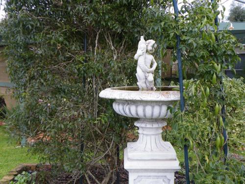 Un jardín fuera de Hamilton Caravan Park
