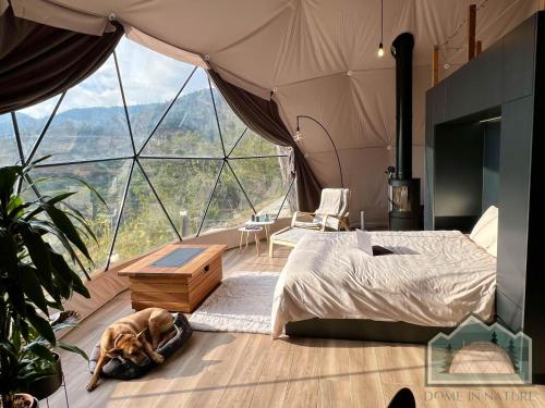 a bedroom with a dog laying on the floor in a tent at Dome in Nature in Larnaca