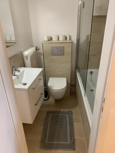 Un baño con inodoro, lavabo y ducha. en Studio Flat Medien Hafen 30minToFair, en Düsseldorf