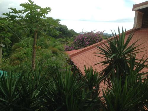 a house with a red roof and some plants at Villa Mango B&B in Nosara