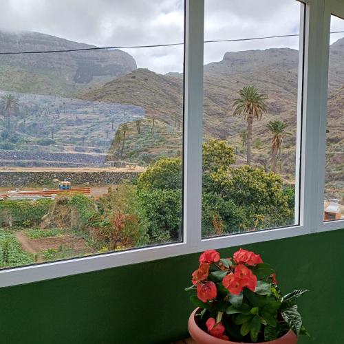 a vase with flowers sitting in front of a window at Vv - Casa Clary -Finca Medina in Alojera