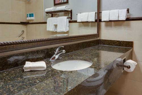 La salle de bains est pourvue d'un lavabo et d'un miroir. dans l'établissement Drury Inn & Suites Las Cruces, à Las Cruces