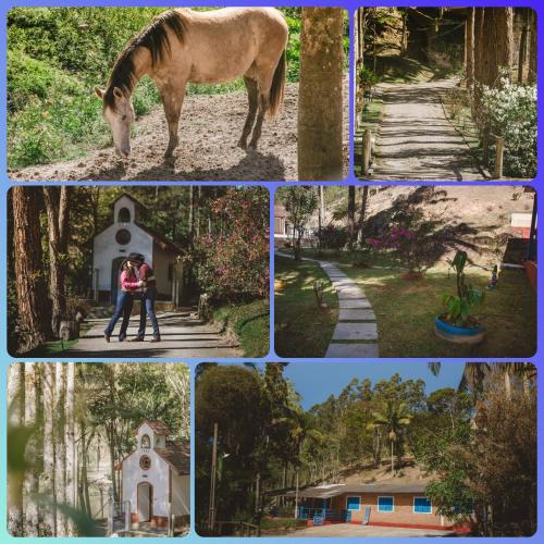 a collage of photos with a horse and a couple at Fazenda São Lucas in São Luiz do Paraitinga