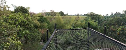 a suspension bridge in the middle of a forest at Finca Hotel los Nogales in Quimbaya