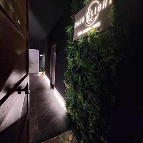 Dark & Light rooms & luxury suites photo 6