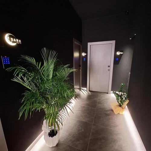 Dark & Light rooms & luxury suites photo 25