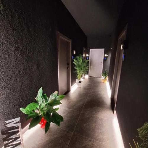 a hallway with potted plants in a building with lights at Dark & Light rooms & luxury suites in Catania