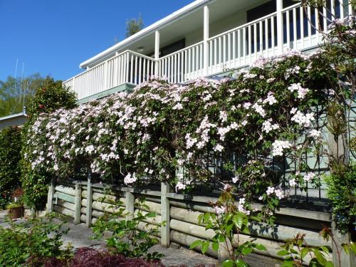 a bush of flowers on a fence in front of a house at Ligita's Homestay in Havelock