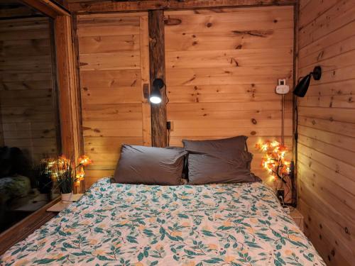 1 dormitorio con 1 cama en una pared de madera en The Dome house near Hunter and Hudson, en Catskill