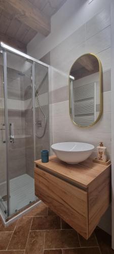 La salle de bains est pourvue d'un lavabo et d'une douche avec un miroir. dans l'établissement Corte Malvezzi, à Castel Guelfo di Bologna
