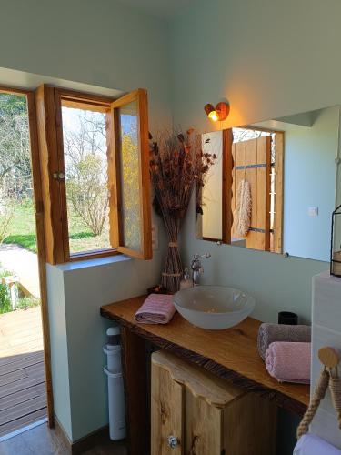 a bathroom with a sink and a mirror at Roulotte Ô Rêves Atypiques in Boucé