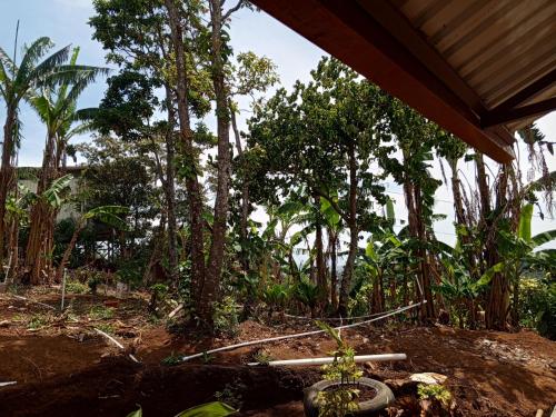 a garden with trees and a hose at Cabanas Zamoray 